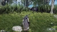 IGN《燕云十六声》实机:假想将技击和动物相和会