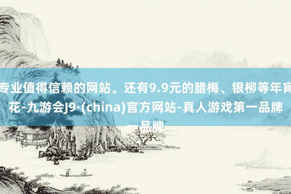 专业值得信赖的网站。还有9.9元的腊梅、银柳等年宵花-九游会J9·(china)官方网站-真人游戏第一品牌