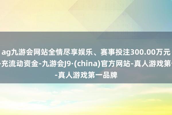 ag九游会网站全情尽享娱乐、赛事投注300.00万元恒久补充流动资金-九游会J9·(china)官方网站-真人游戏第一品牌
