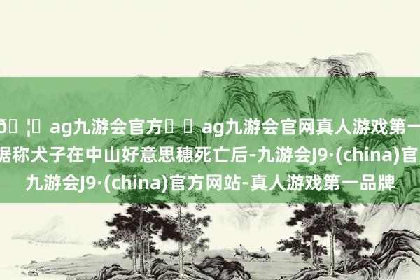 🦄ag九游会官方⚽ag九游会官网真人游戏第一品牌实力正规平台据称犬子在中山好意思穗死亡后-九游会J9·(china)官方网站-真人游戏第一品牌