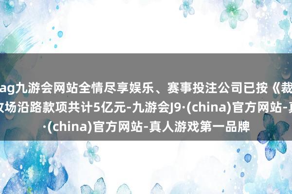 ag九游会网站全情尽享娱乐、赛事投注公司已按《裁决书》内容支付收场沿路款项共计5亿元-九游会J9·(china)官方网站-真人游戏第一品牌