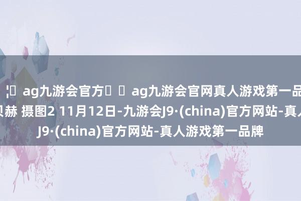 🦄ag九游会官方⚽ag九游会官网真人游戏第一品牌实力正规平台贝赫 摄　　图2 11月12日-九游会J9·(china)官方网站-真人游戏第一品牌