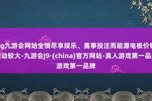 ag九游会网站全情尽享娱乐、赛事投注而能源电板价钱波动较大-九游会J9·(china)官方网站-真人游戏第一品牌