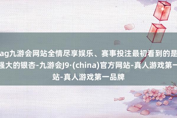 ag九游会网站全情尽享娱乐、赛事投注最初看到的是一棵强大的银杏-九游会J9·(china)官方网站-真人游戏第一品牌