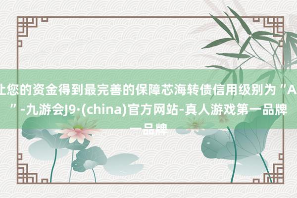 让您的资金得到最完善的保障芯海转债信用级别为“A+”-九游会J9·(china)官方网站-真人游戏第一品牌