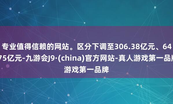 专业值得信赖的网站。区分下调至306.38亿元、64.75亿元-九游会J9·(china)官方网站-真人游戏第一品牌
