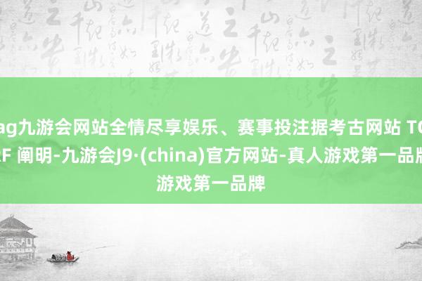 ag九游会网站全情尽享娱乐、赛事投注据考古网站 TCRF 阐明-九游会J9·(china)官方网站-真人游戏第一品牌