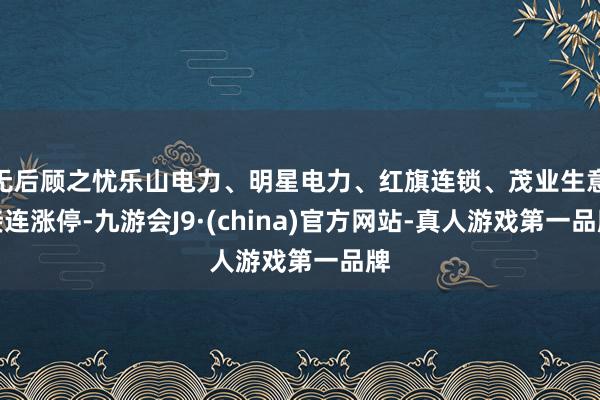 无后顾之忧乐山电力、明星电力、红旗连锁、茂业生意接连涨停-九游会J9·(china)官方网站-真人游戏第一品牌