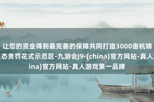 让您的资金得到最完善的保障共同打造3000亩杭锦旗防沙治沙生态责罚花式示范区-九游会J9·(china)官方网站-真人游戏第一品牌