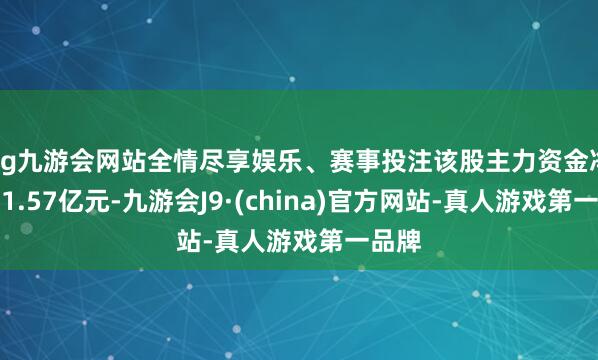 ag九游会网站全情尽享娱乐、赛事投注该股主力资金净流入1.57亿元-九游会J9·(china)官方网站-真人游戏第一品牌