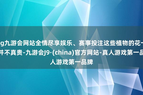 ag九游会网站全情尽享娱乐、赛事投注这些植物的花一般并不真贵-九游会J9·(china)官方网站-真人游戏第一品牌