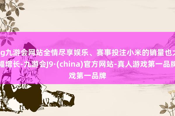 ag九游会网站全情尽享娱乐、赛事投注小米的销量也大幅增长-九游会J9·(china)官方网站-真人游戏第一品牌