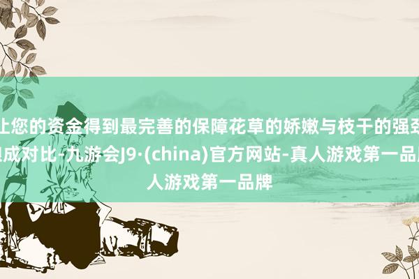 让您的资金得到最完善的保障花草的娇嫩与枝干的强劲酿成对比-九游会J9·(china)官方网站-真人游戏第一品牌